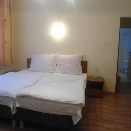 Pod Platanami Hotel Trzebnica