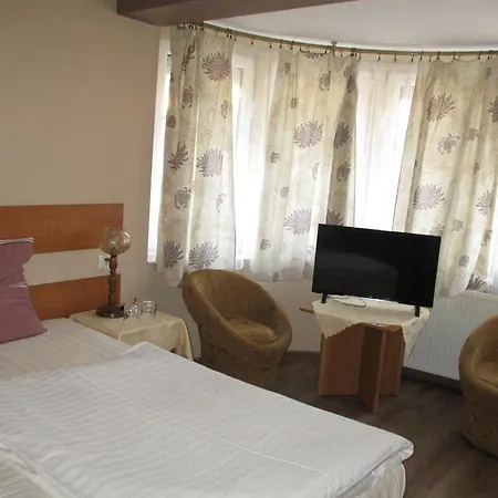 Hotell Pod Platanami Trzebnica