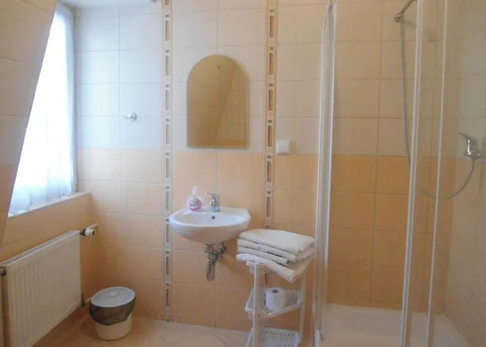 Отель Pod Platanami Тшебница